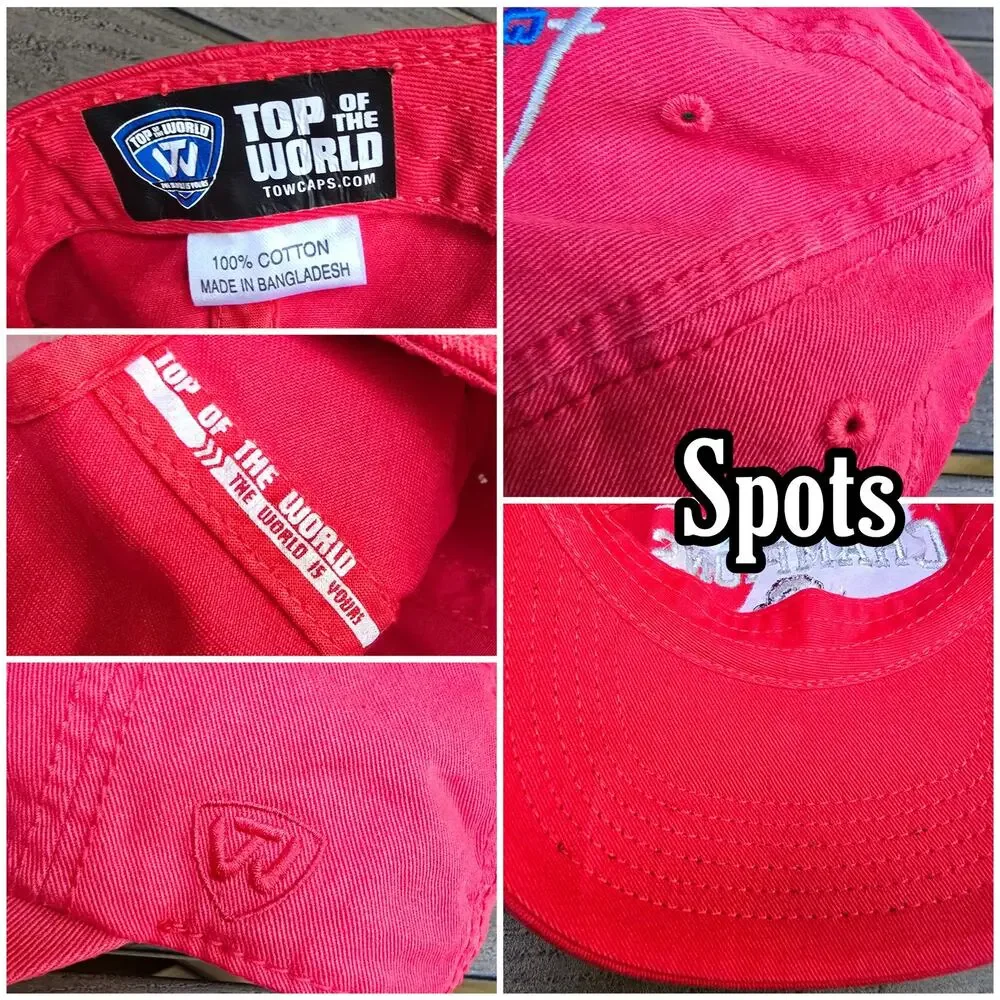 Ohio State Lot Decor 2014 Hat Buckeyes Truck Yankee Candle Apple Red NCAA Big 10